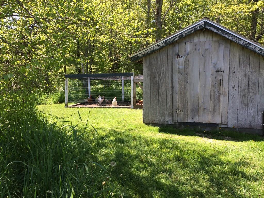 1248 Tremont Road Seal Cove, ME 04674 - Photo 9 of 29 Photo