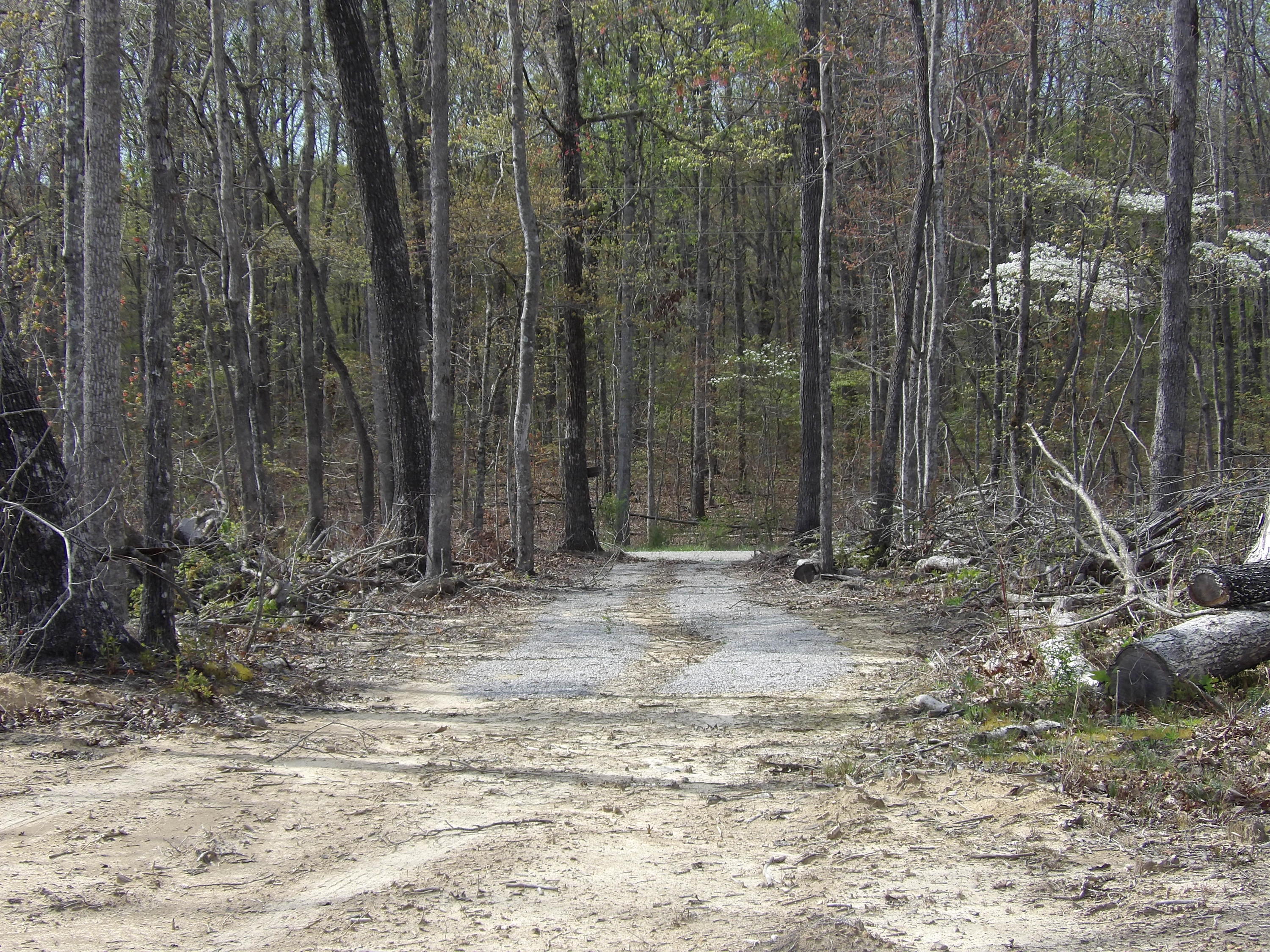 449 Mcneices Ridge Road, Unit 290 Crossville, TN 38572 - Photo 15 of 19 100_2433