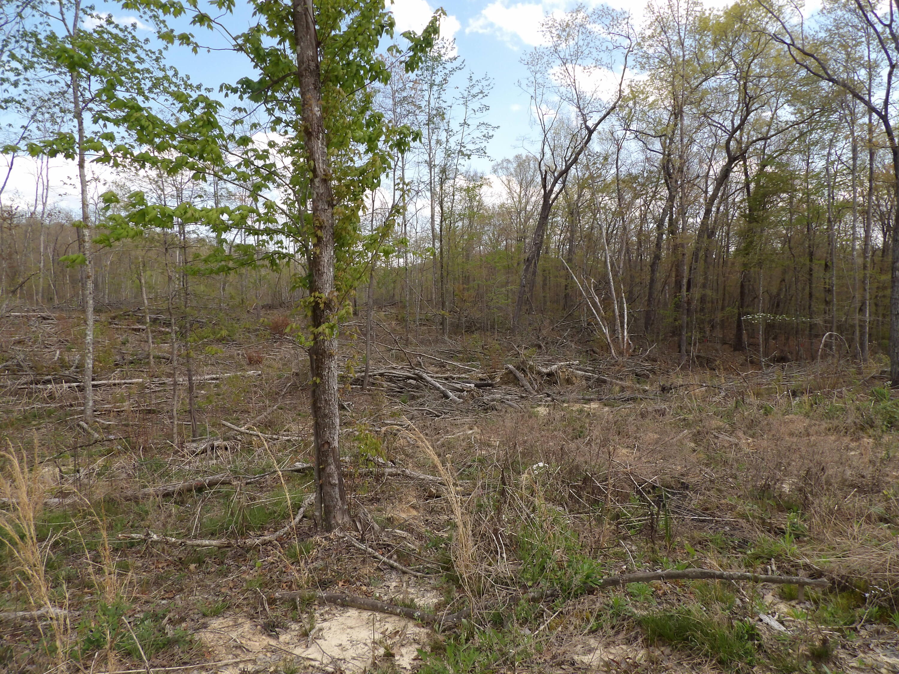 449 Mcneices Ridge Road, Unit 290 Crossville, TN 38572 - Photo 6 of 19 100_2424