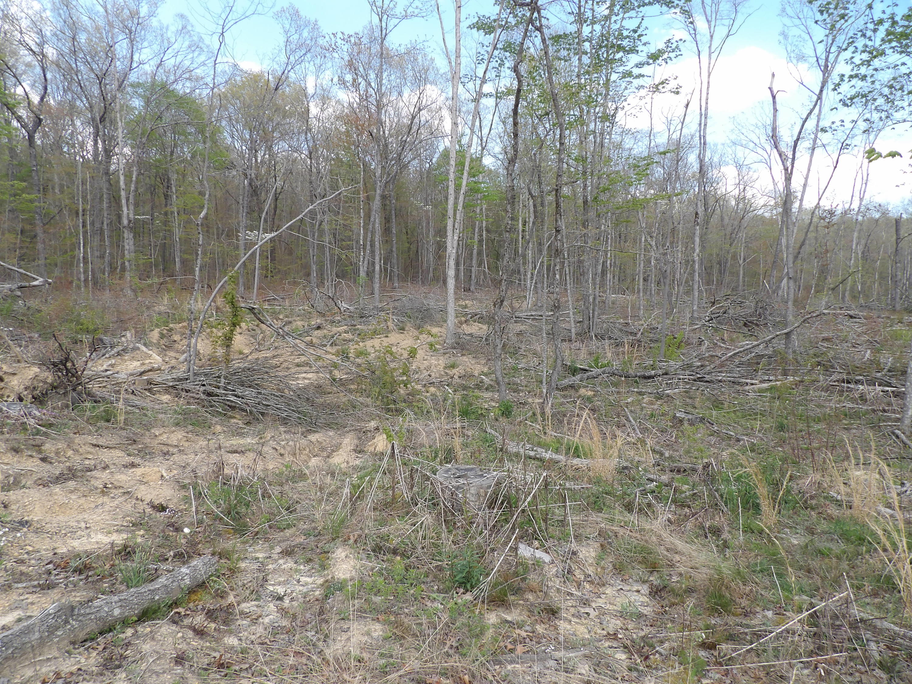 449 Mcneices Ridge Road, Unit 290 Crossville, TN 38572 - Photo 8 of 19 100_2426