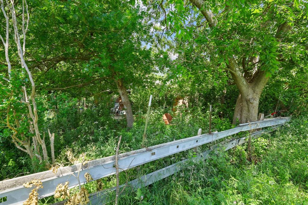 747 Vineyard Road Gunter, TX 75058 - Photo 31 of 32 a view of a lush green forest