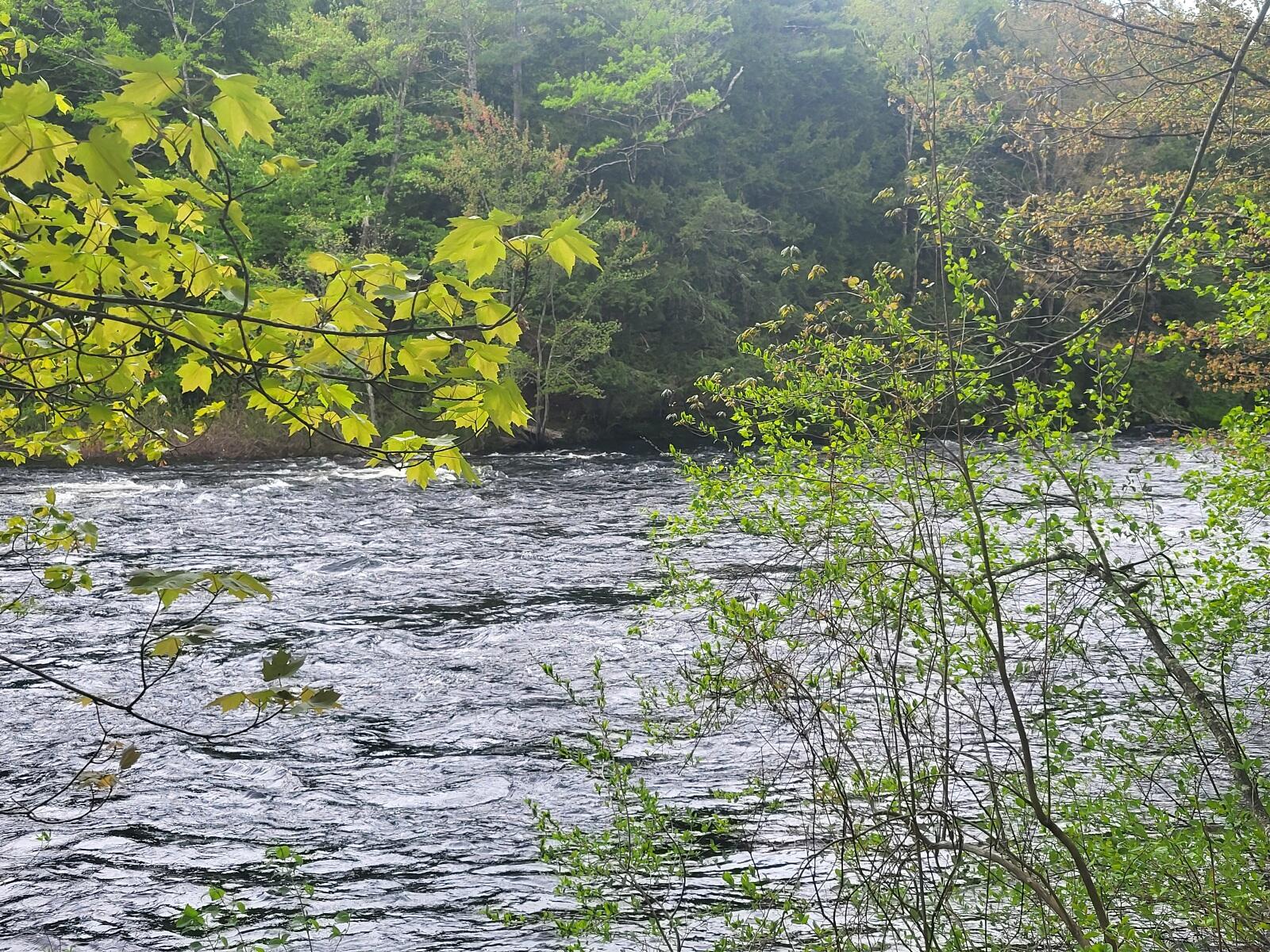 R3-32 Ossipee Trail Porter, ME 04068 - Photo 4 of 11 20250519_135824