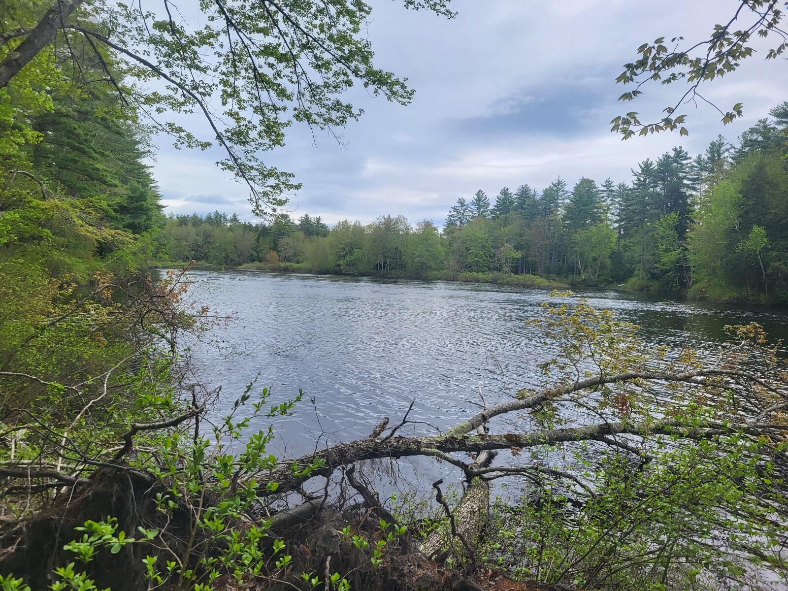 R3-32 Ossipee Trail Porter, ME 04068 - Photo 5 of 11 20250519_140536