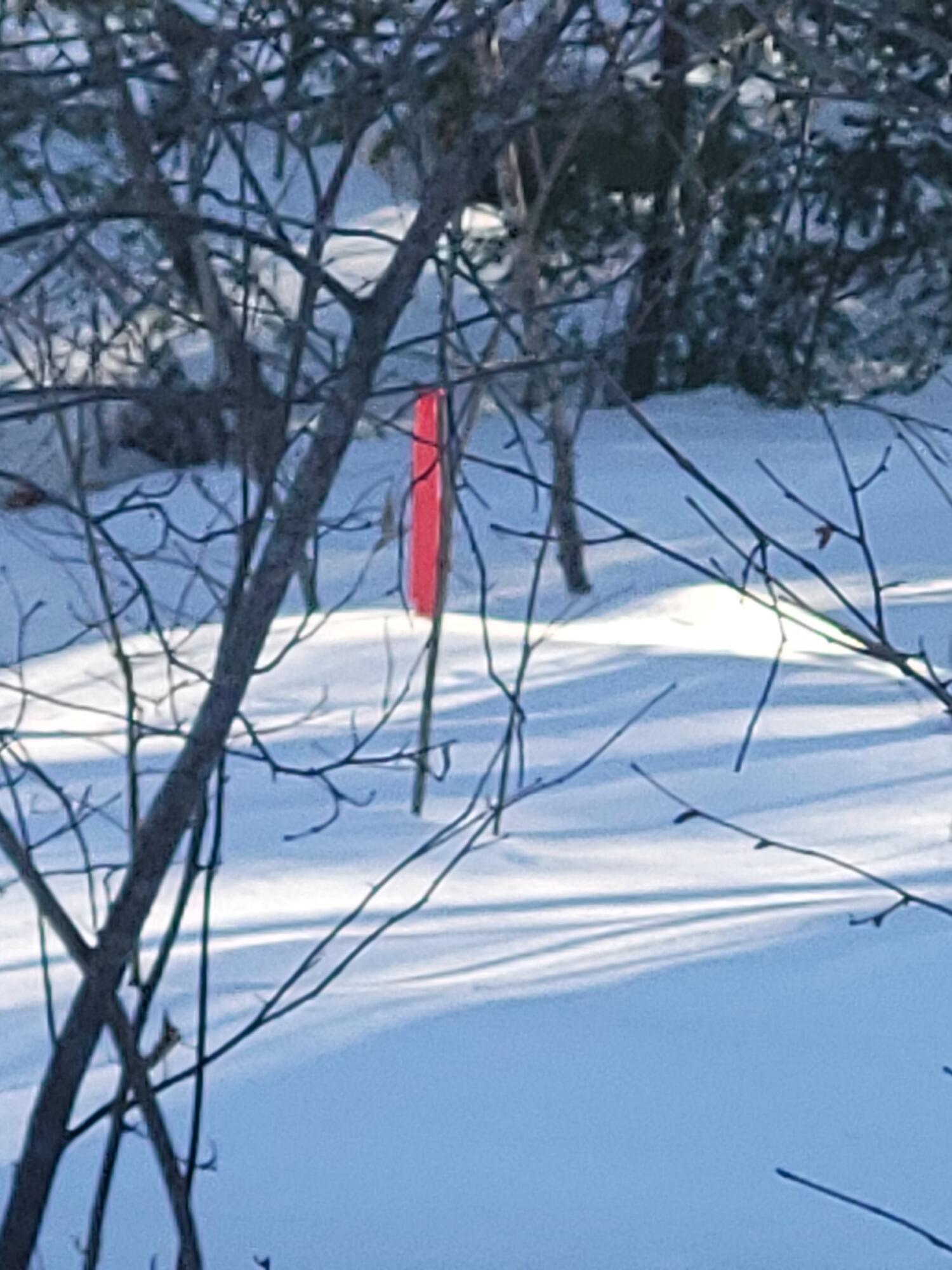 R3-32 Ossipee Trail Porter, ME 04068 - Photo 9 of 11 20260226_153308