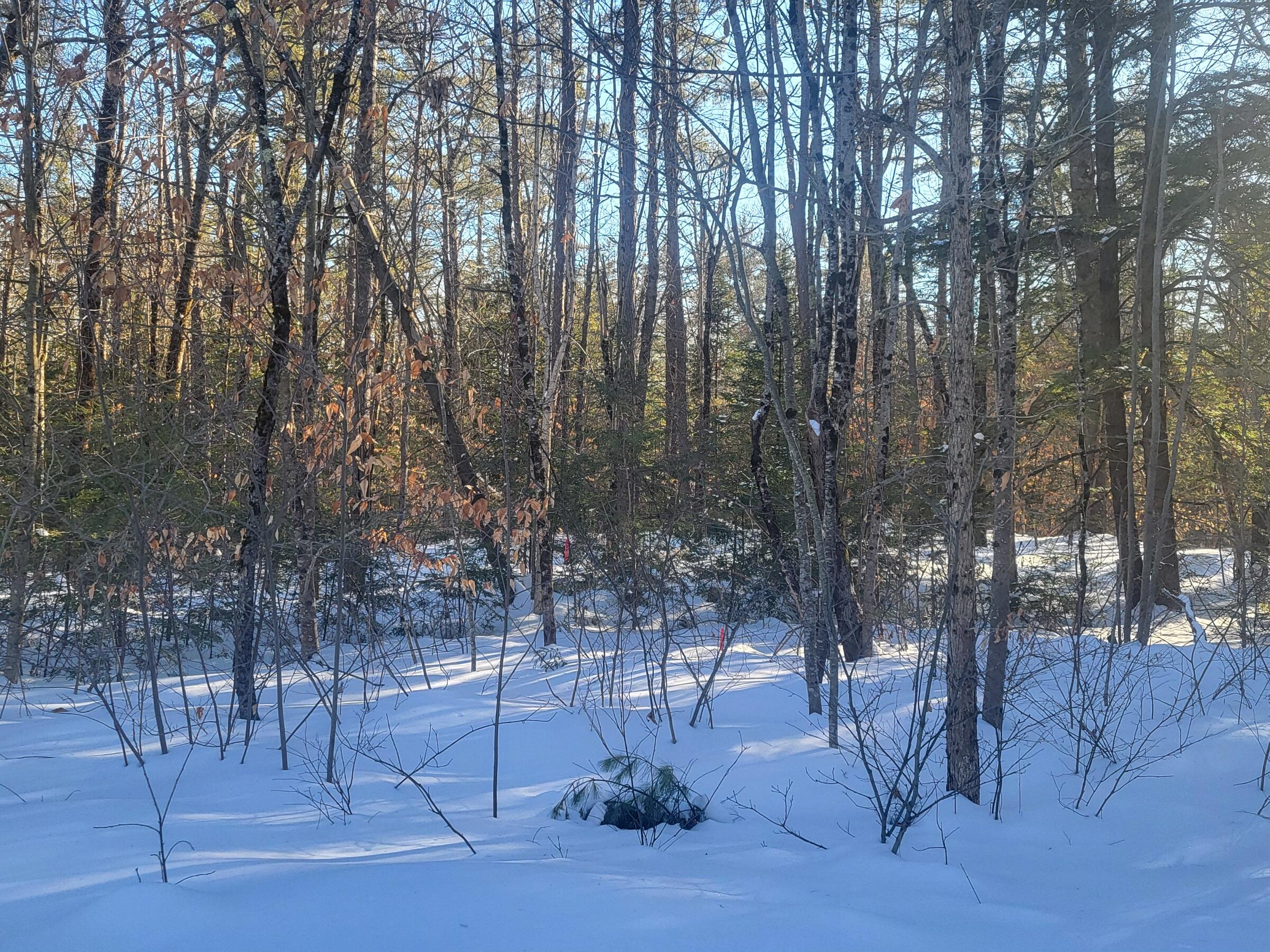 R3-32 Ossipee Trail Porter, ME 04068 - Photo 10 of 11 20260226_153320