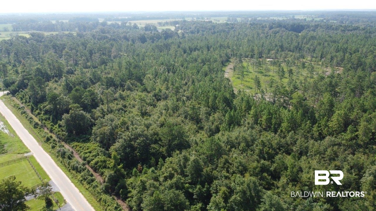 0 Jerkins Loop Atmore, AL 36502 - Photo 43 of 50