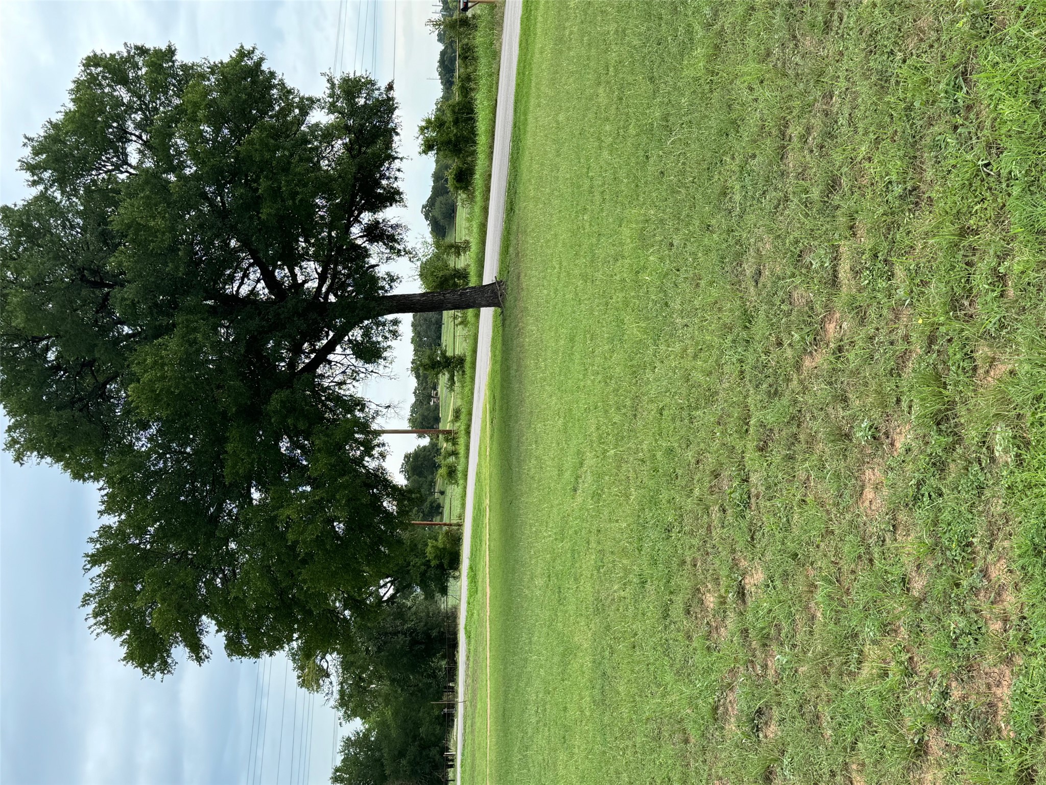291 Reids Bend Bastrop, TX 78602 - Photo 29 of 39 a big yard with lots of green space and trees