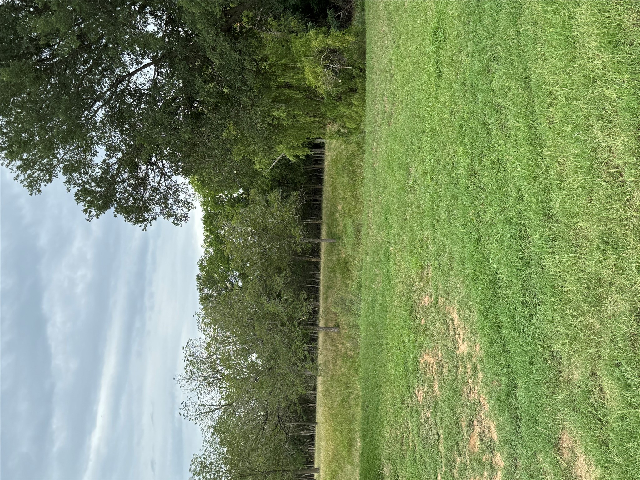 291 Reids Bend Bastrop, TX 78602 - Photo 31 of 39 a view of a field with trees in the background