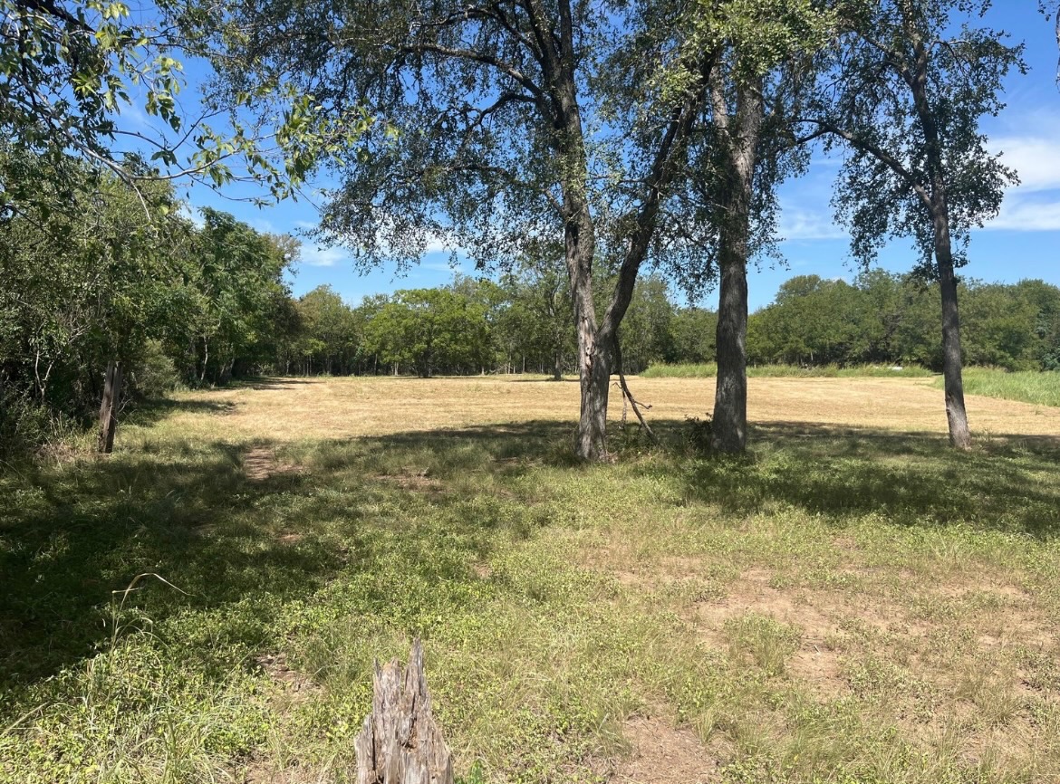 291 Reids Bend Bastrop, TX 78602 - Photo 34 of 39 a view of yard with tree