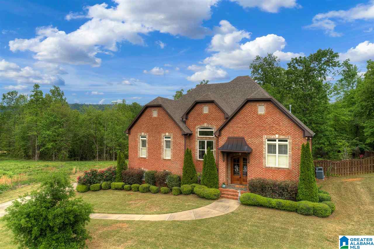 452 Ronny Lane Springville, AL 35146 - Photo 1 of 42