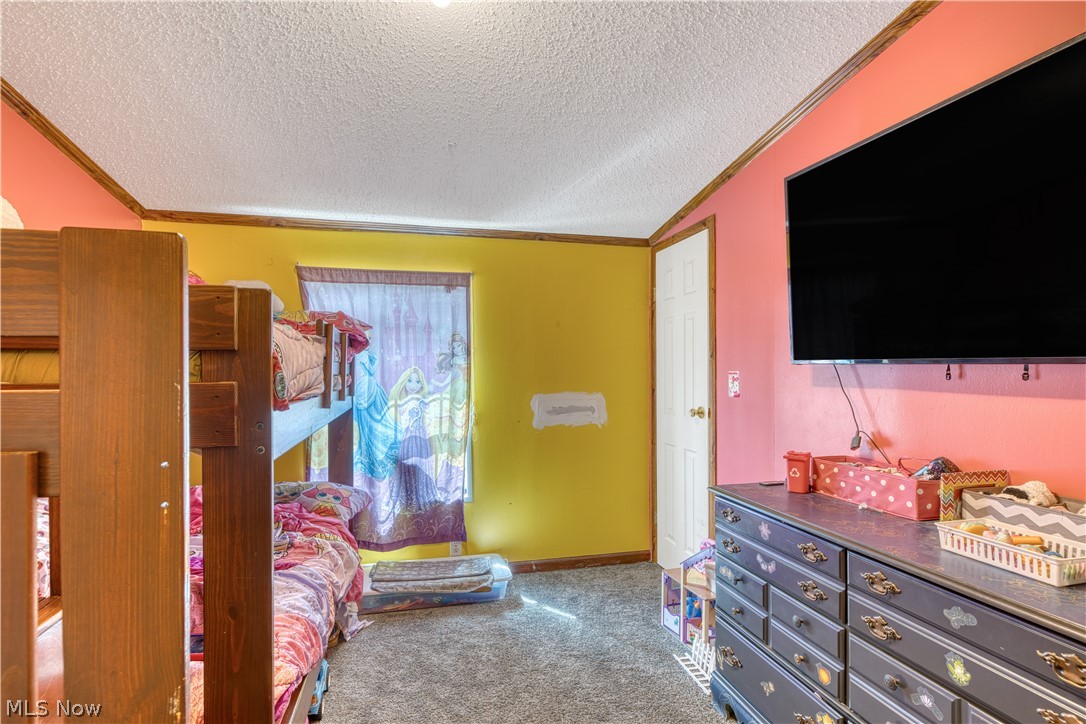 7848 Clay Pike Road Cambridge, OH 43725 - Photo 11 of 12 Bedroom with carpet flooring, a textured ceiling, and vaulted ceiling