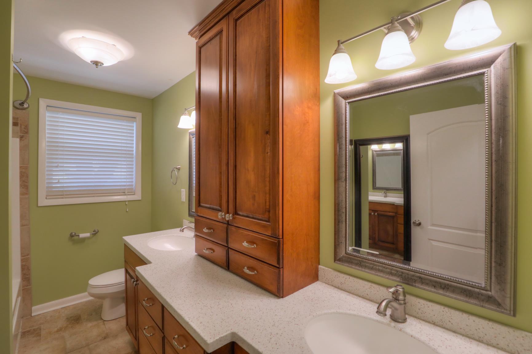 3144 Battle Creek Road Springfield, TN 37172 - Photo 19 of 28 a bathroom with a sink a toilet and mirror