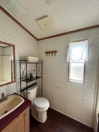 a bathroom with a toilet a sink and mirror