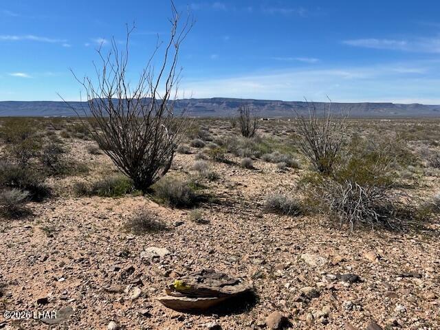 0 Arlington Road Yucca, AZ 86438 - Photo 1 of 18 Ocotillo cactus on property