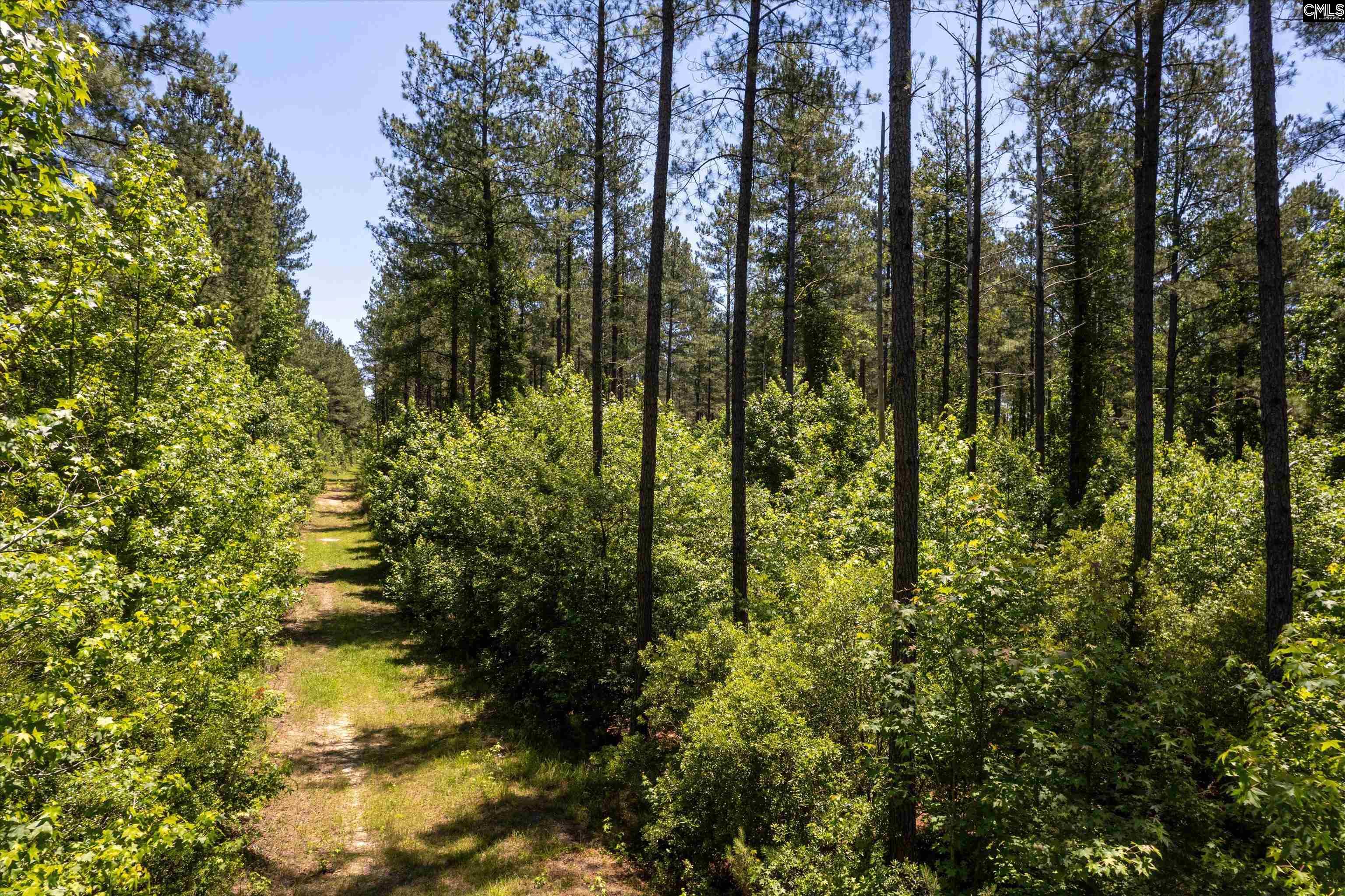 Tbd Toms Creek Road Eastover, SC 29044 - Photo 10 of 10 a view of a yard