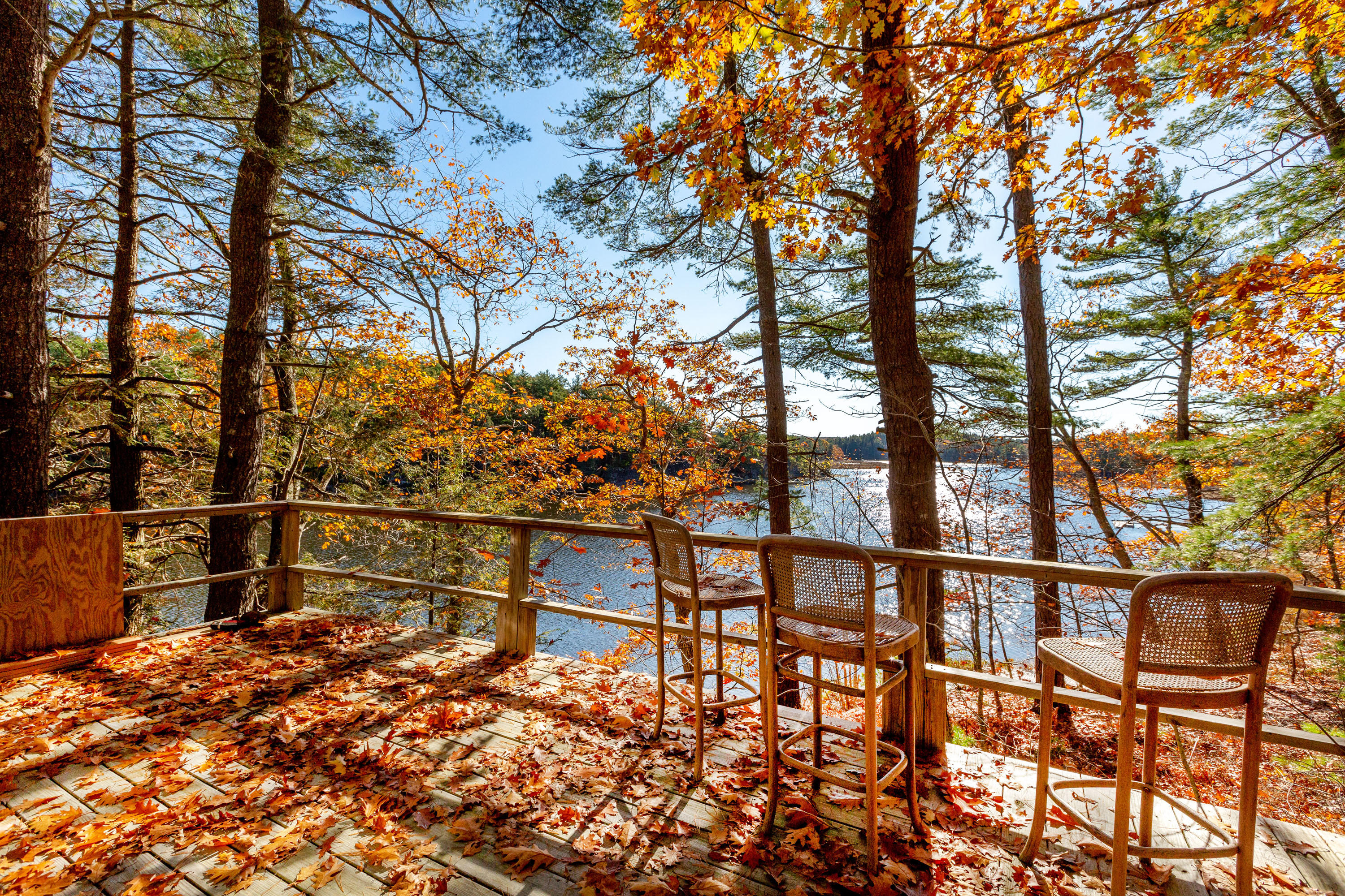 67 Indian Rest Road Bath, ME 04530 - Photo 45 of 66 Indian Rest_Ollier_46