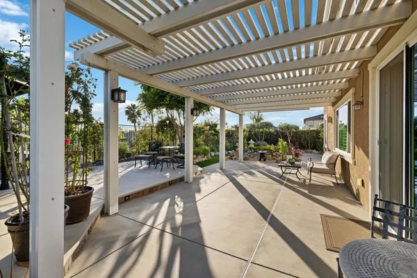 a view of a plant with a tree