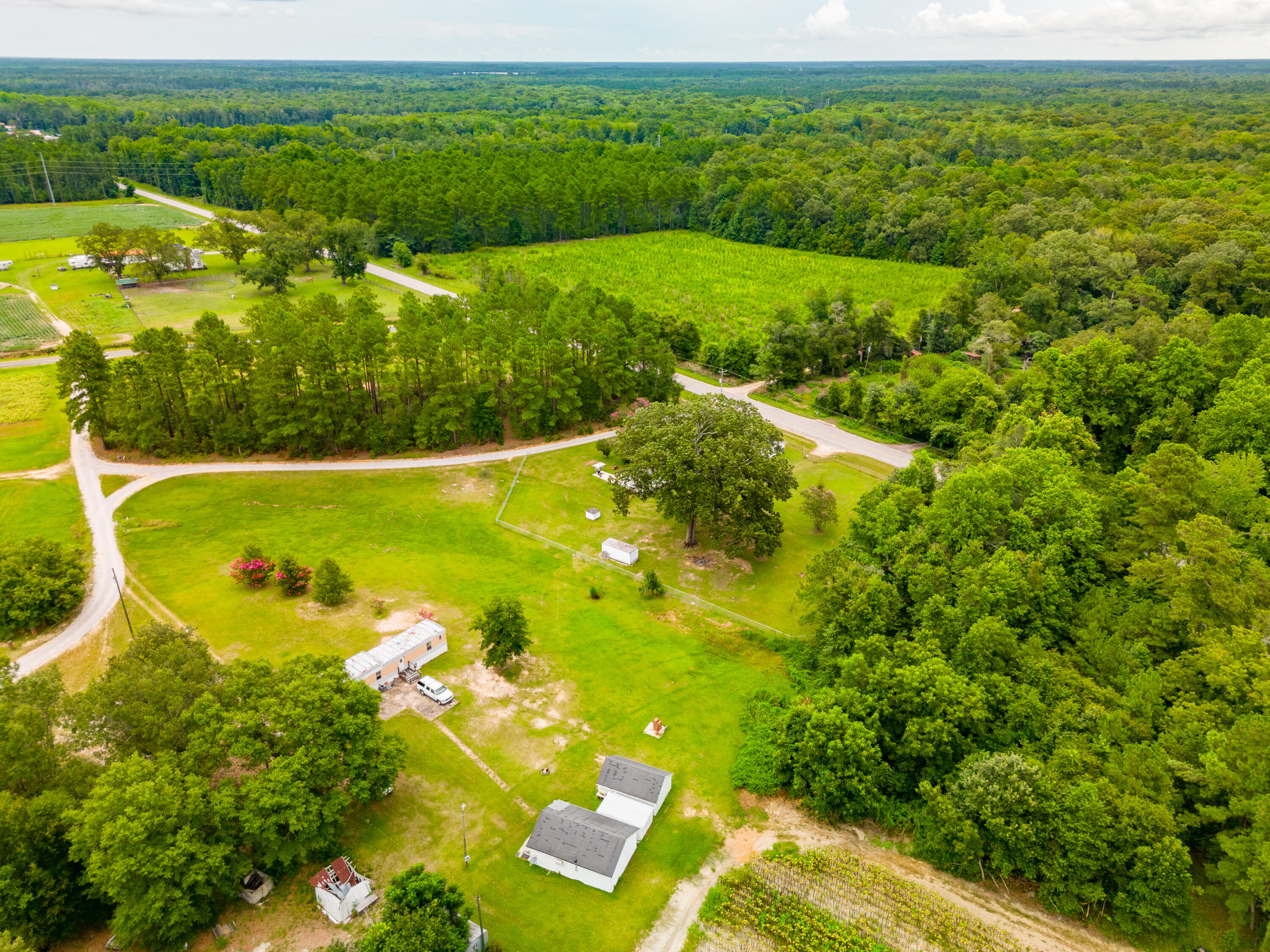 3120 Cannon Bridge Road Cordova, SC 29039 - Photo 25 of 29 DJI_0293