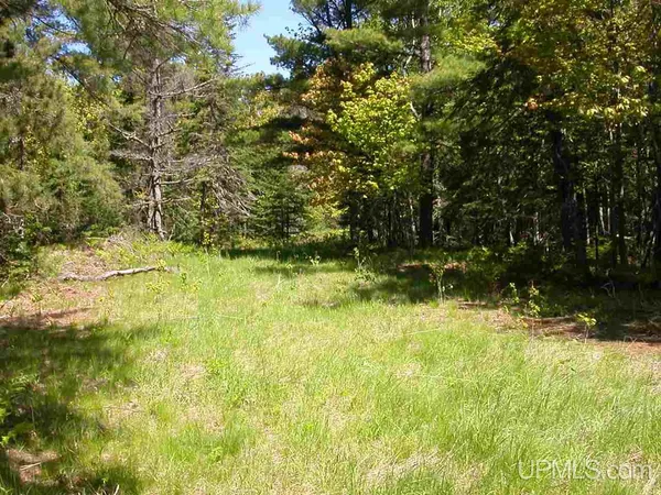 $39,000 | Lot 29 North Eliza Creek Lane, Mohawk, MI 49950