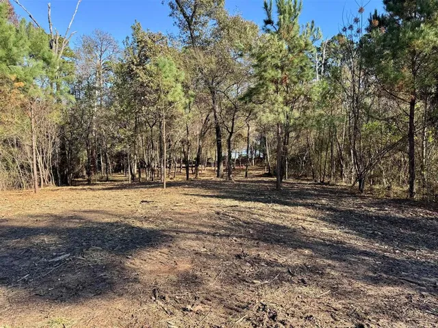 a view of road with trees