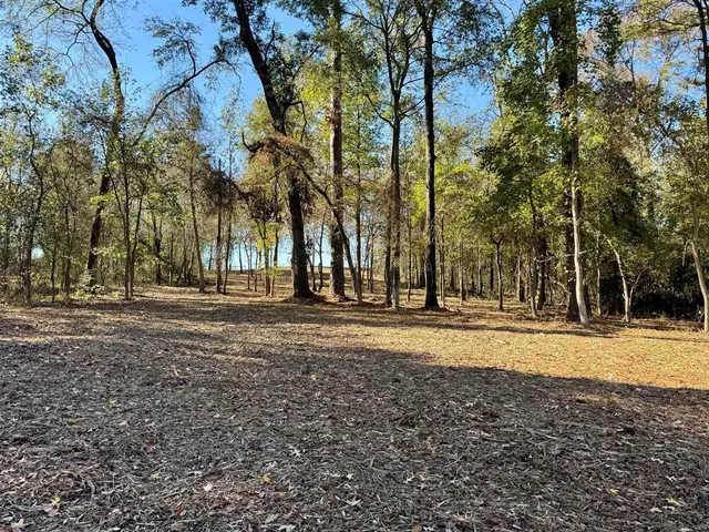 a view of dirt yard with trees