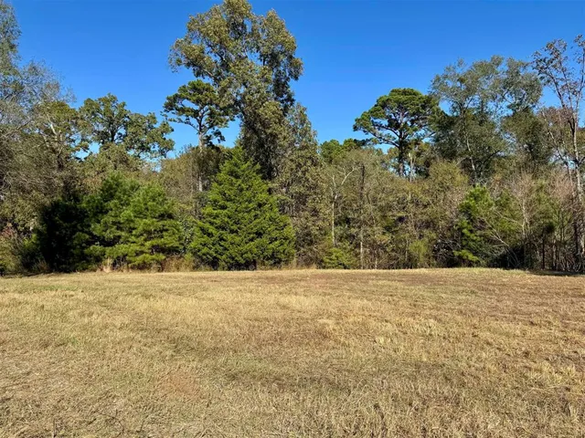 a view of an outdoor space and a yard
