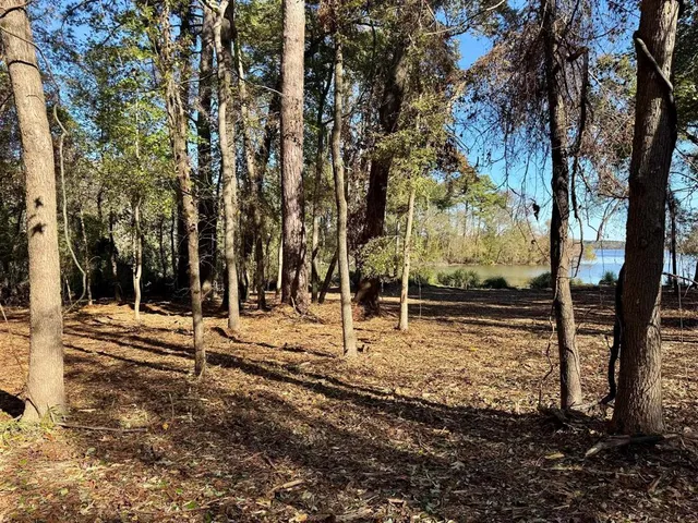 a view of a yard with trees