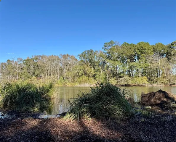 a view of a lake with mountains in the background