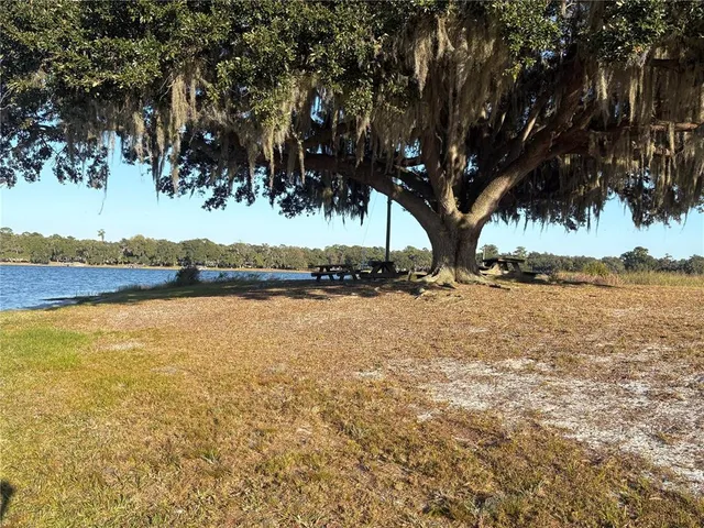 a view of lake with trees