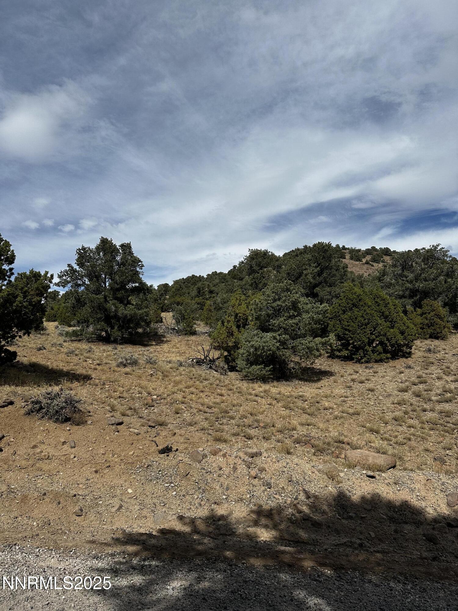 2000 Scorpion Road Reno, NV 89521 - Photo 11 of 21