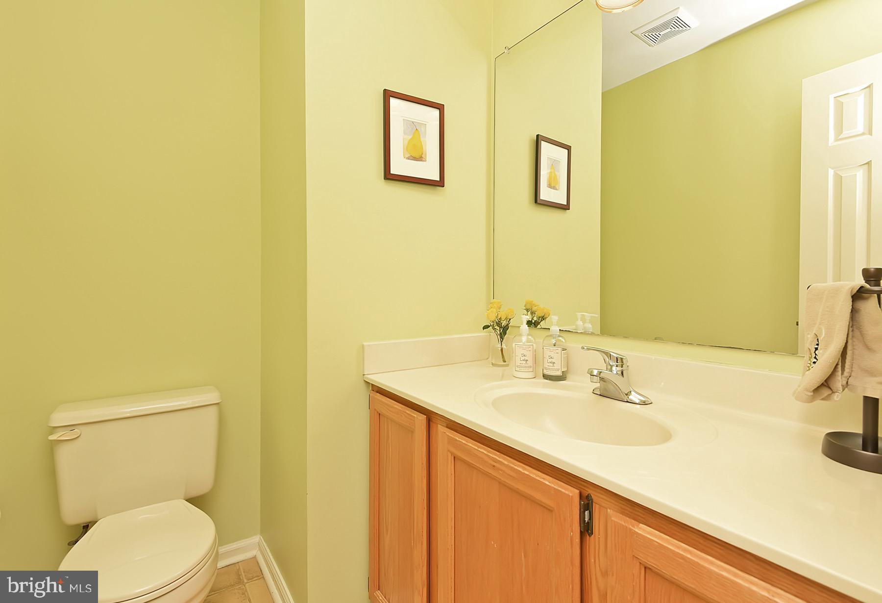 42 Chicopee Drive Princeton, NJ 08540 - Photo 9 of 20 Powder Room