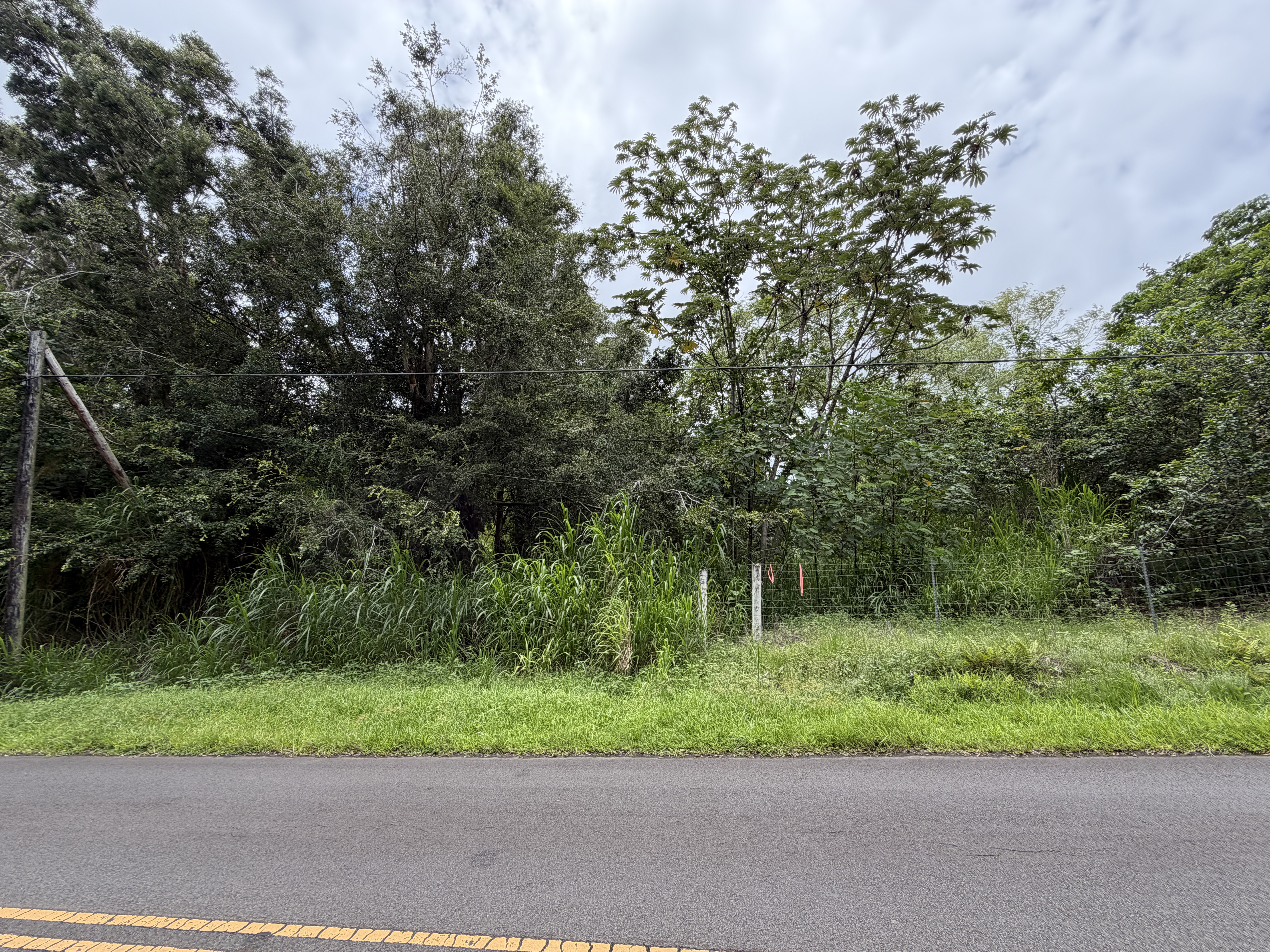 2 Opihikau Road Pahoa, HI 96778 - Photo 6 of 16