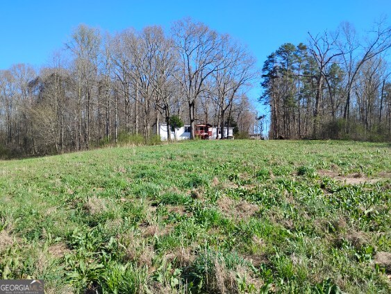 a view of a garden with trees