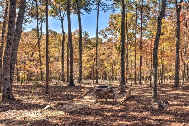 187 Hayden Way Drive Morganton, GA 30560 - Photo 40 of 42