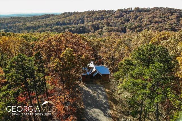 187 Hayden Way Drive Morganton, GA 30560 - Photo 42 of 42