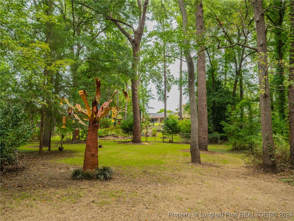 1021 Riverside Boulevard Lumberton, NC 28358 - Photo 48 of 50 Gallery Image 48