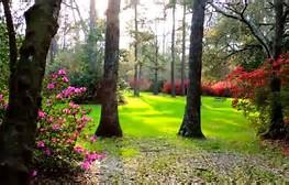 716 Kilarney Road Summerville, SC 29483 - Photo 46 of 50 Summerville's Beautiful Azalea Park - 2