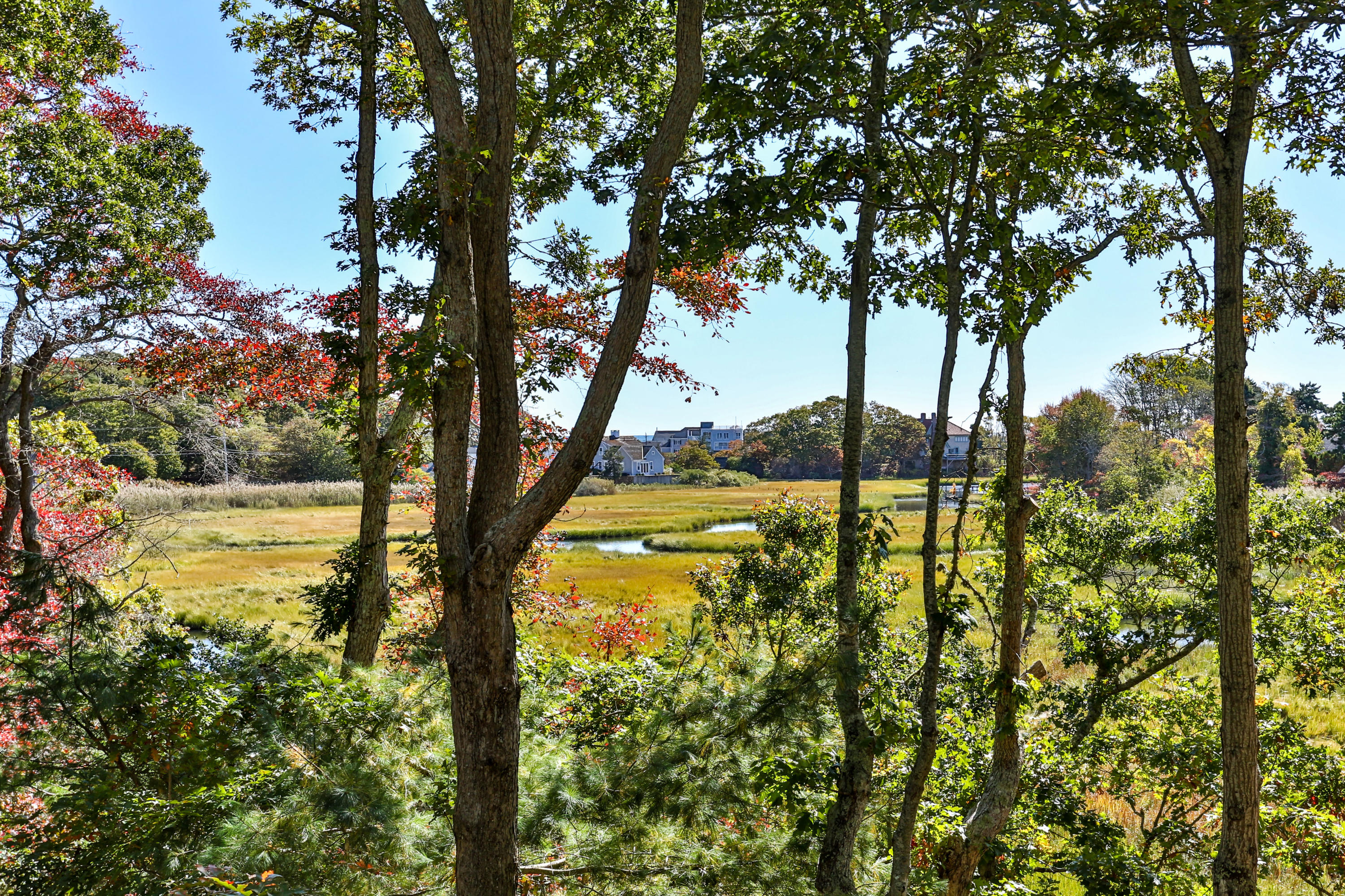 461 South Main Street Centerville, MA 02632 - Photo 25 of 52 461SMaLR-65