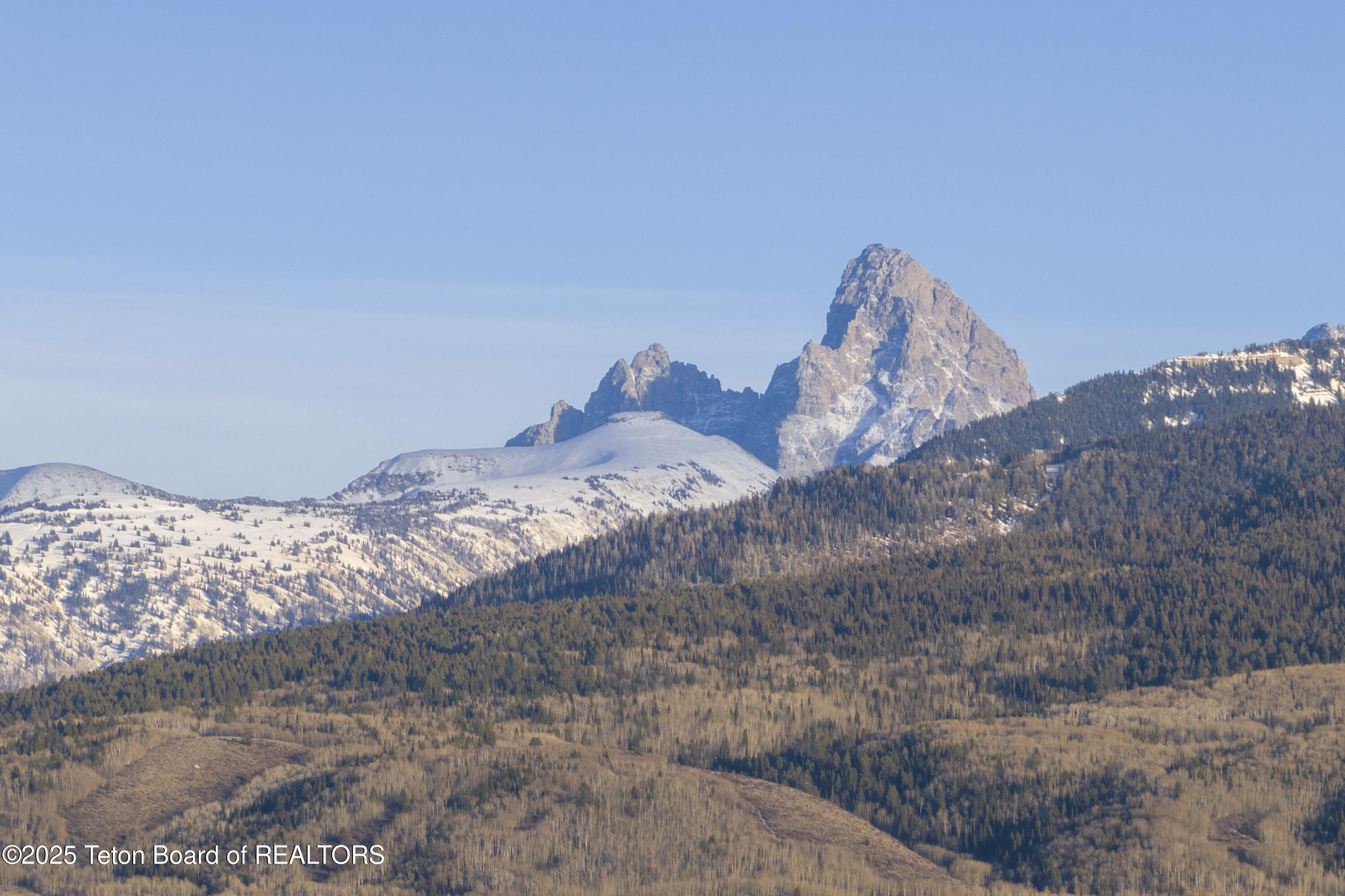 1169 Prairie Dog Way Driggs, ID 83422 - Photo 3 of 35 1169 Photos (3)