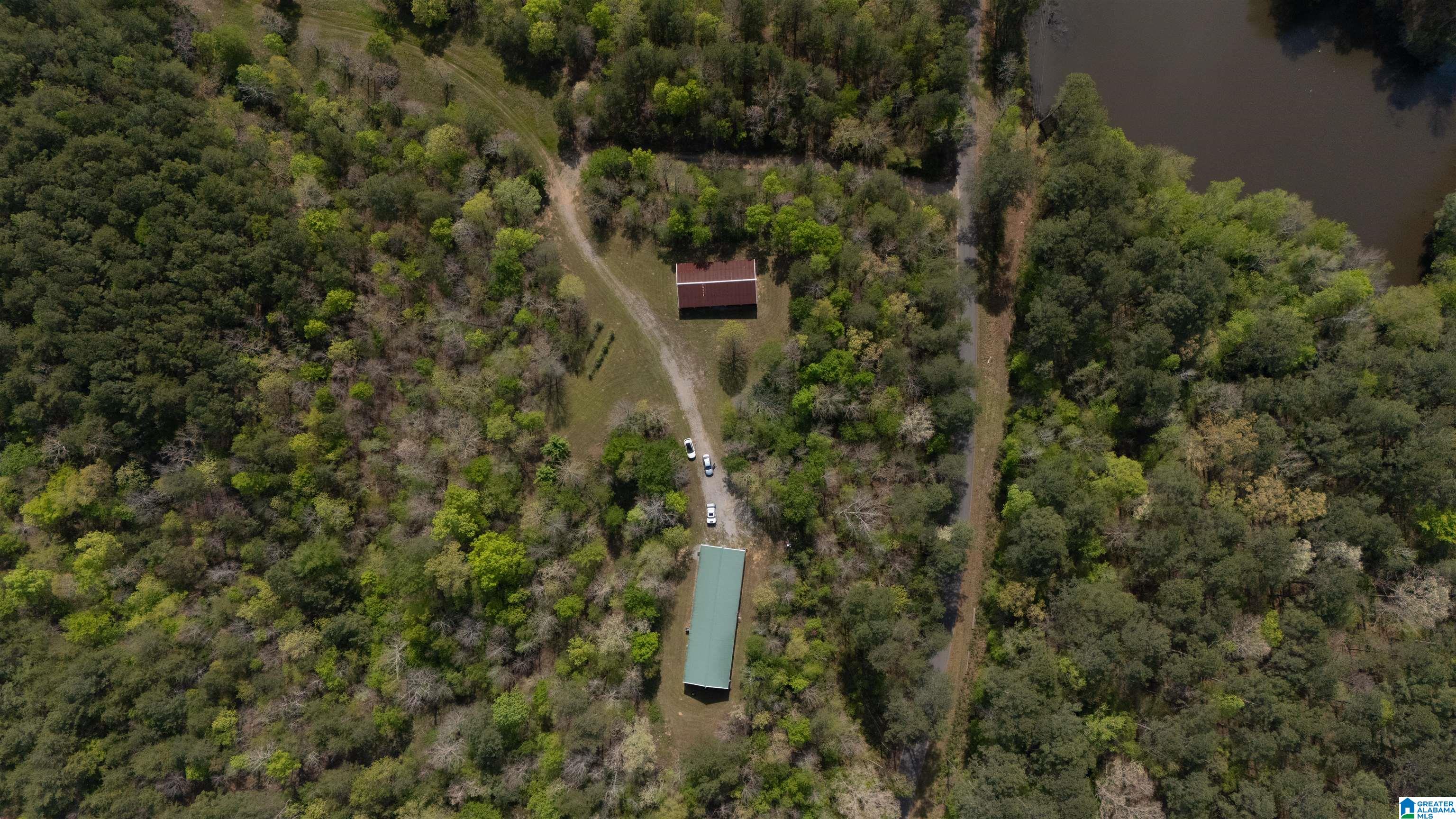 2121 Center Hill Road Trafford, AL 35172 - Photo 64 of 100