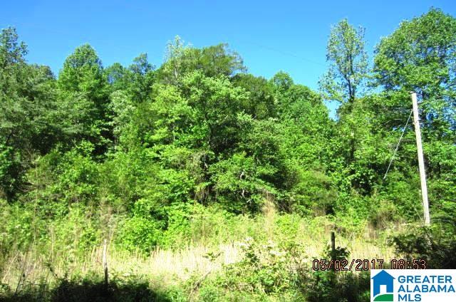82-acres Creed Road, Unit 82 ACRES Lineville, AL 36266 - Photo 14 of 20