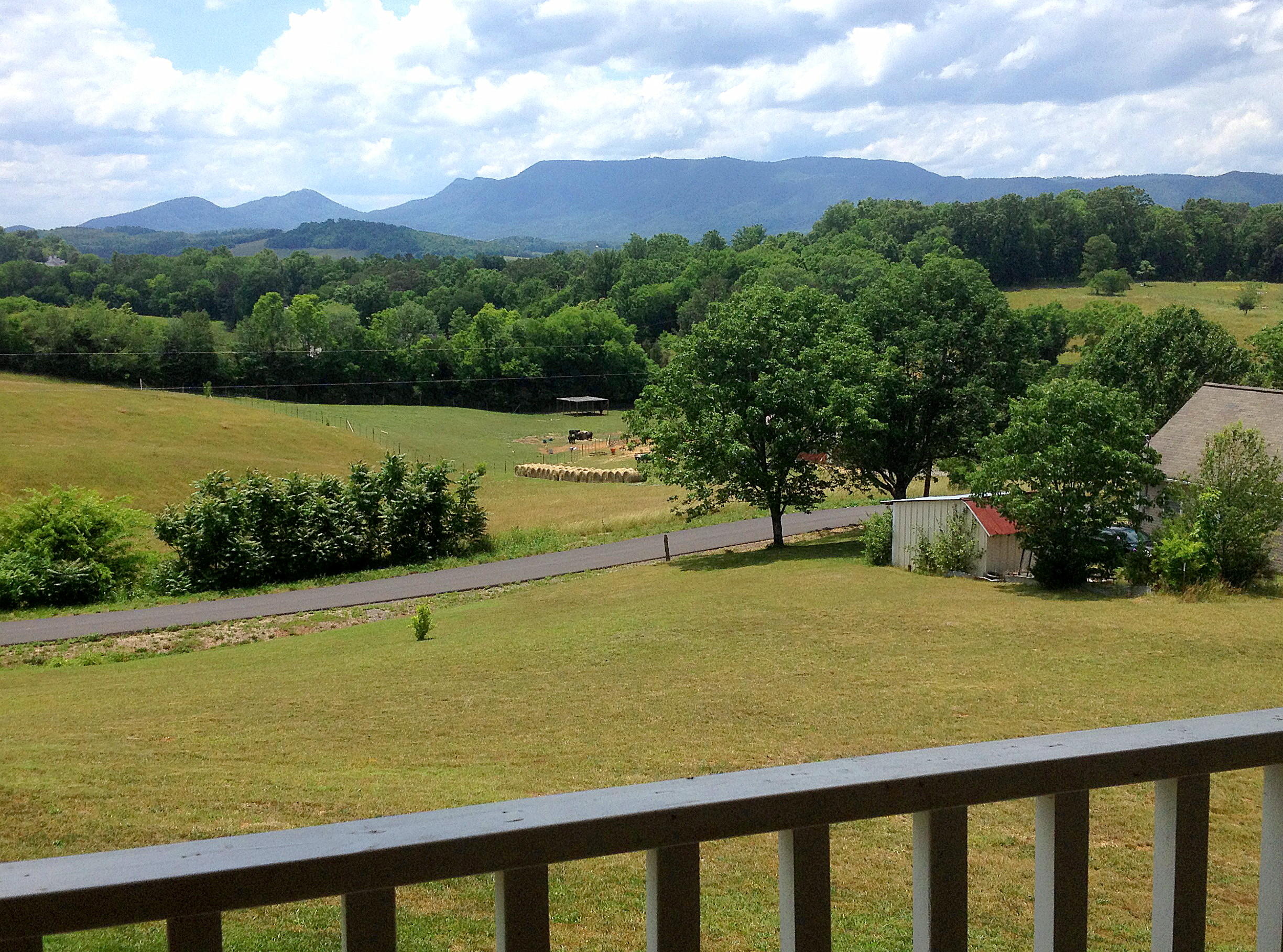 112 Amaryllis Road Newport, TN 37821 - Photo 11 of 40 Main level covered deck