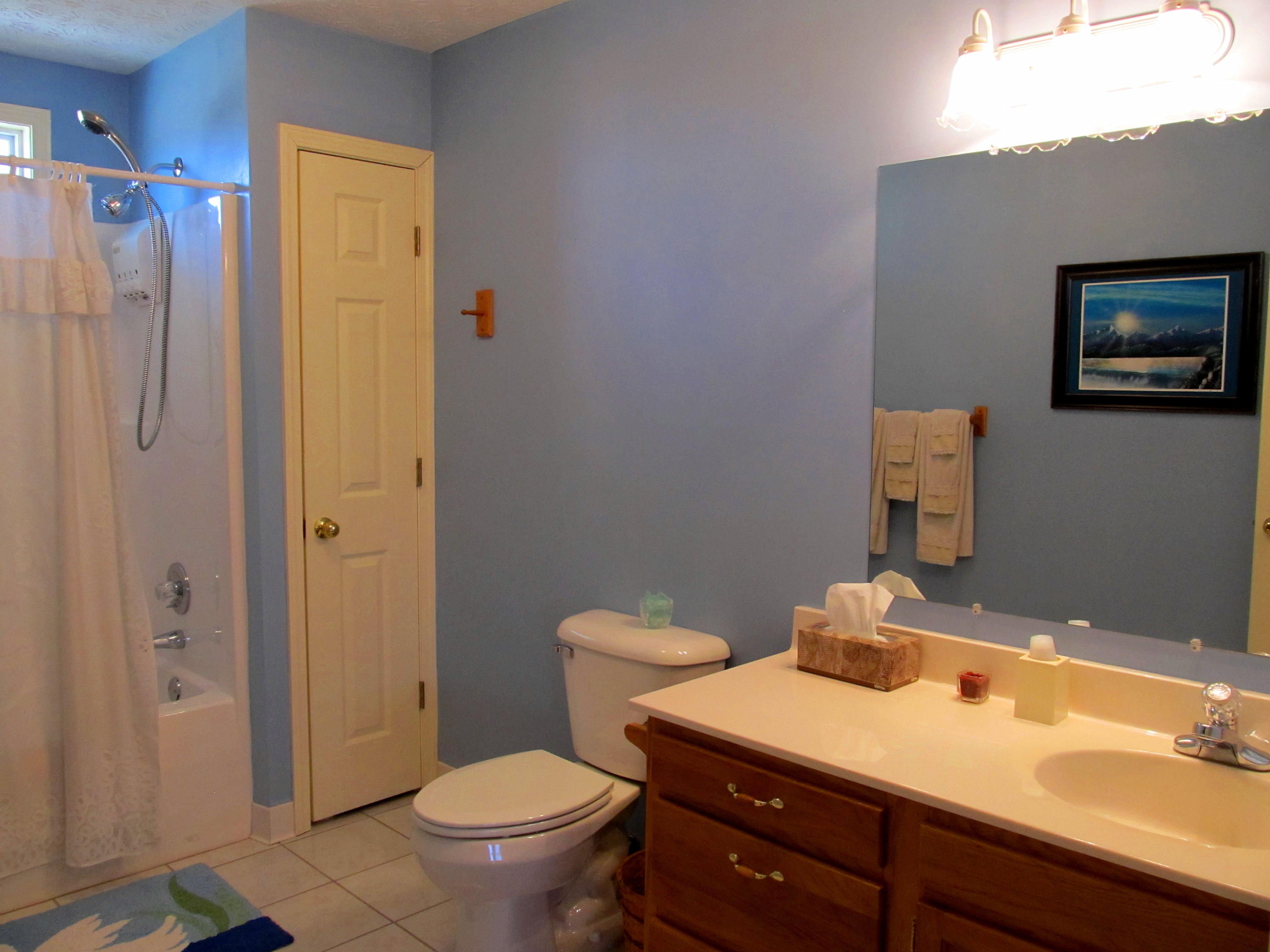 112 Amaryllis Road Newport, TN 37821 - Photo 23 of 40 Huge main level bath