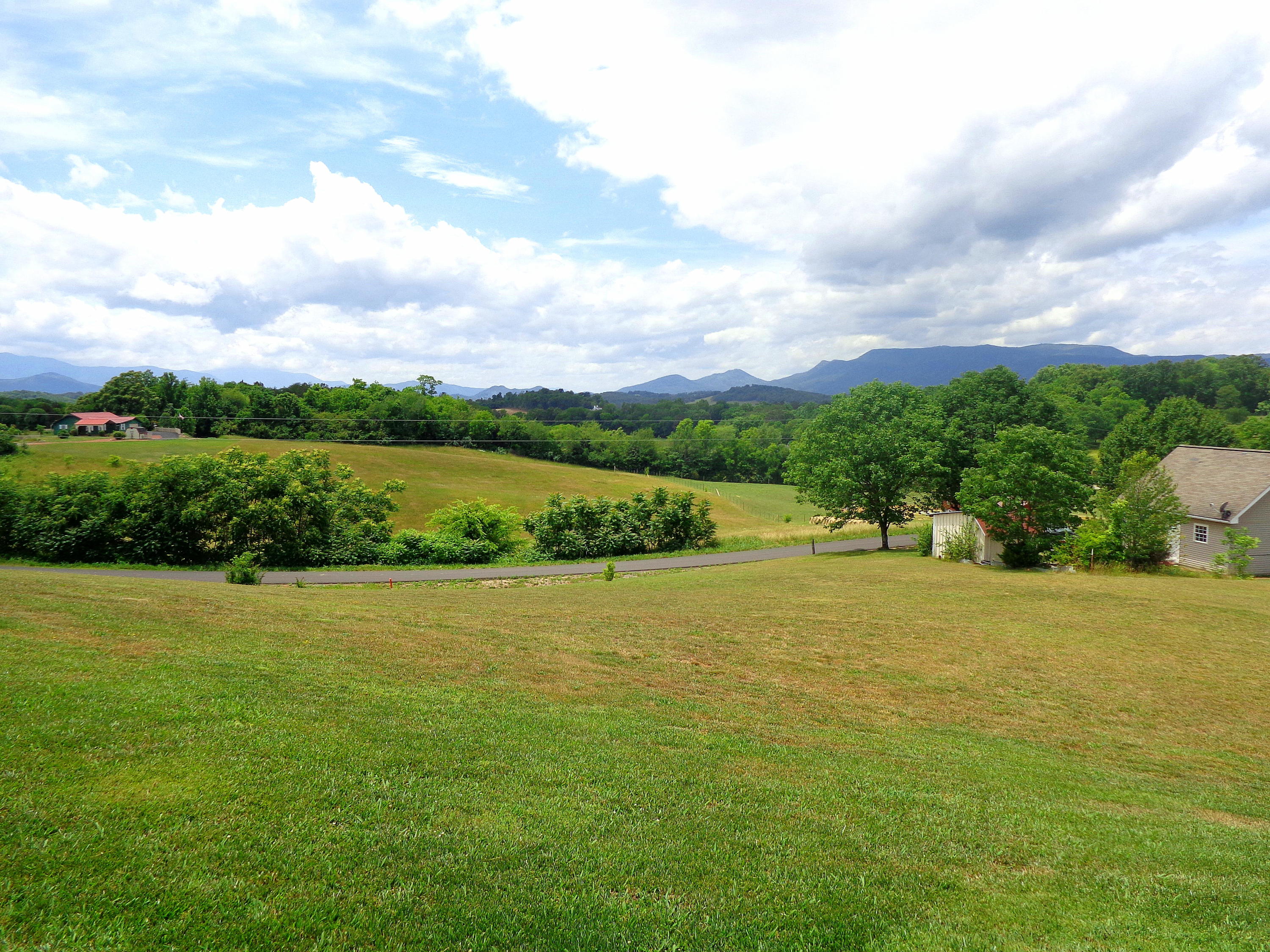112 Amaryllis Road Newport, TN 37821 - Photo 28 of 40 Views from the patio