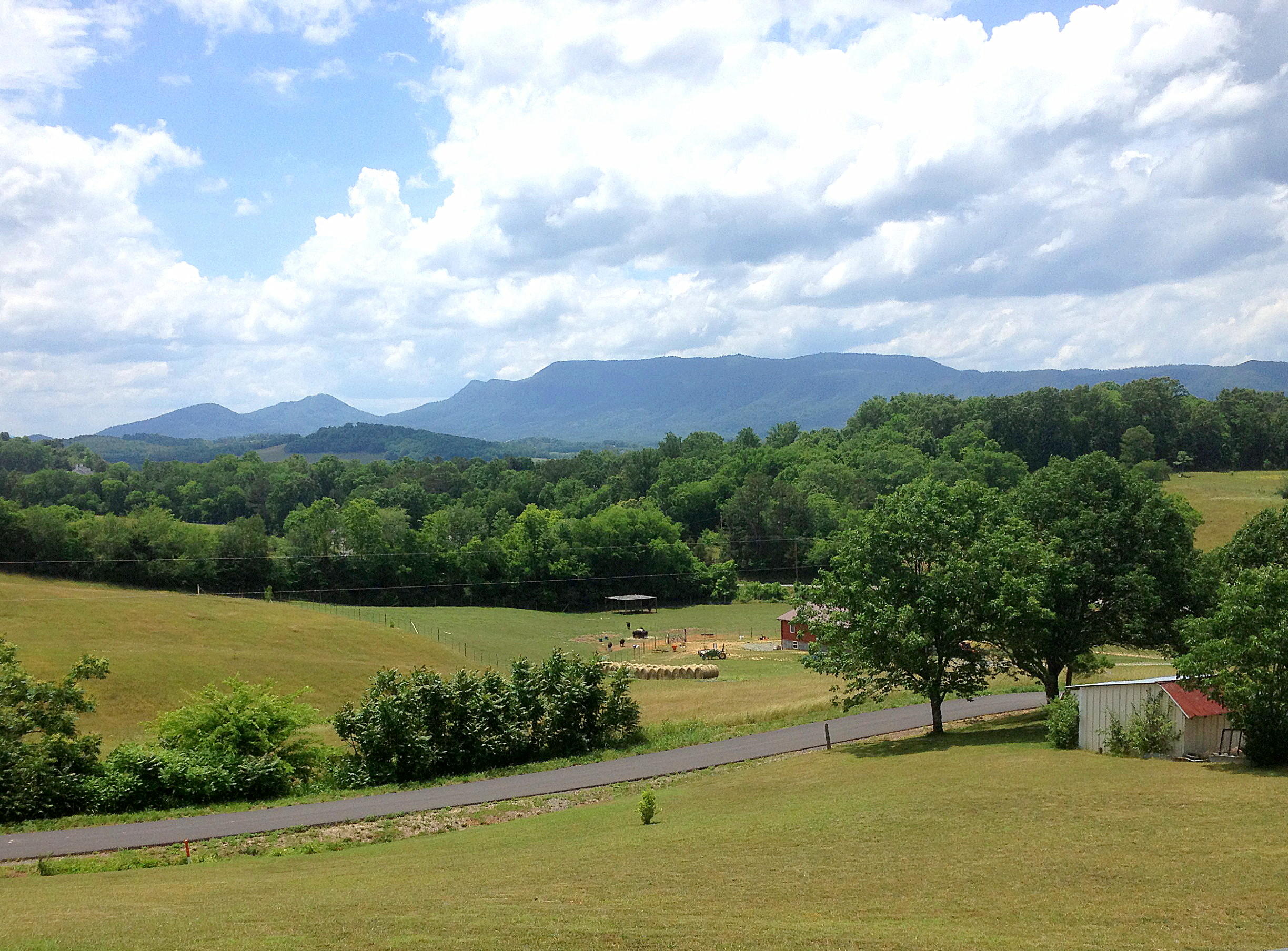 112 Amaryllis Road Newport, TN 37821 - Photo 4 of 40 Back yard views