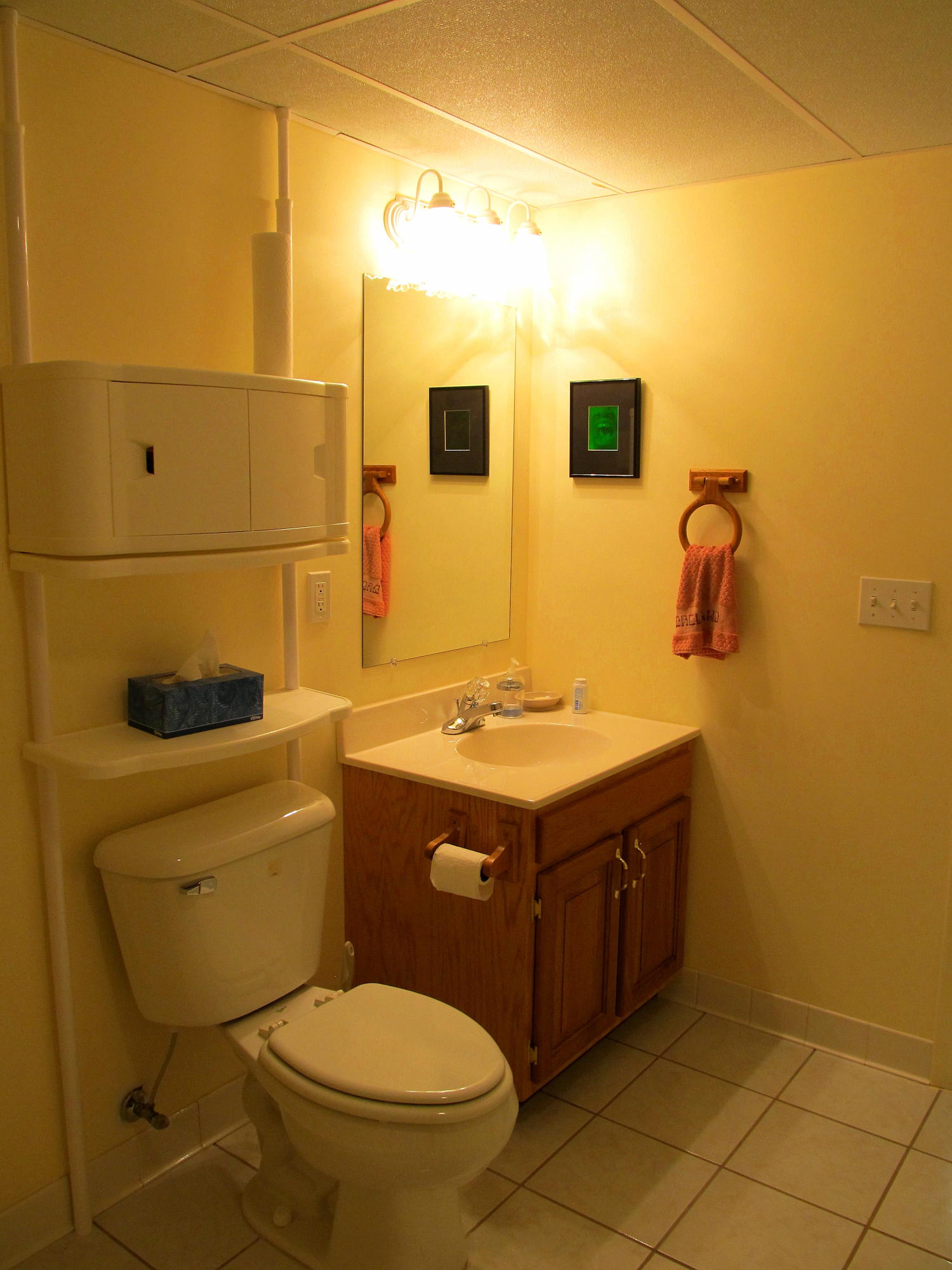 112 Amaryllis Road Newport, TN 37821 - Photo 34 of 40 Lower level bath