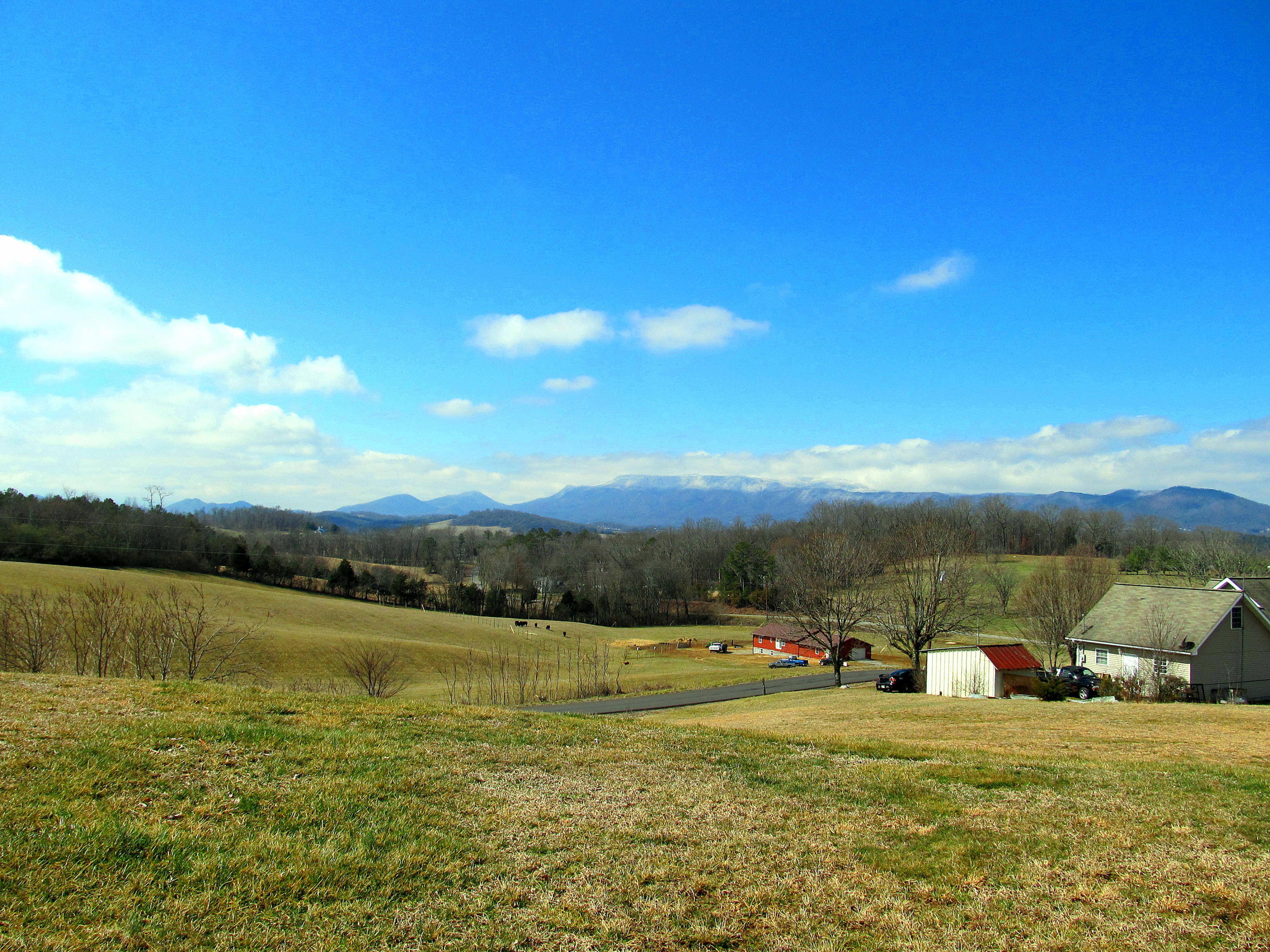 112 Amaryllis Road Newport, TN 37821 - Photo 38 of 40 Views from the patio