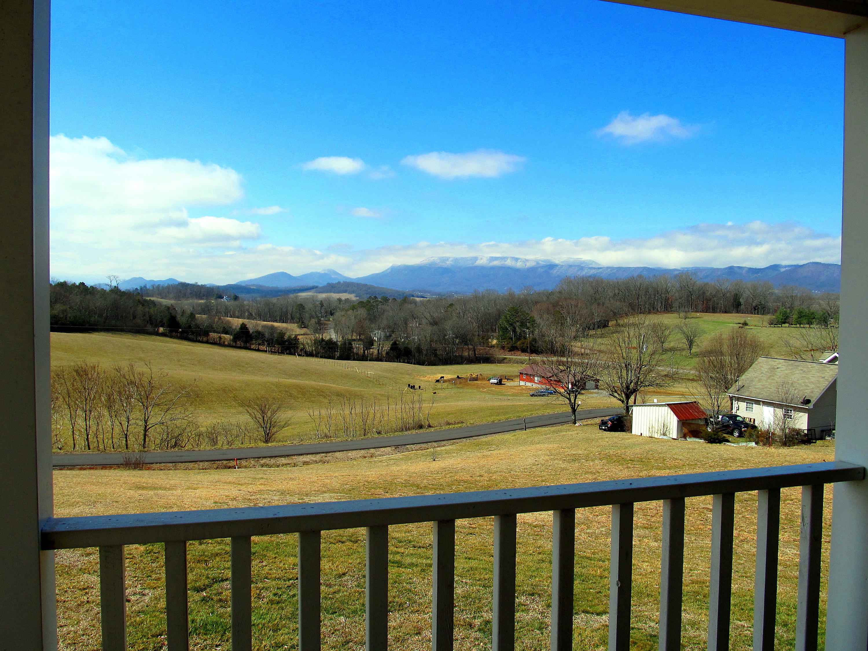 112 Amaryllis Road Newport, TN 37821 - Photo 39 of 40 View from the deck
