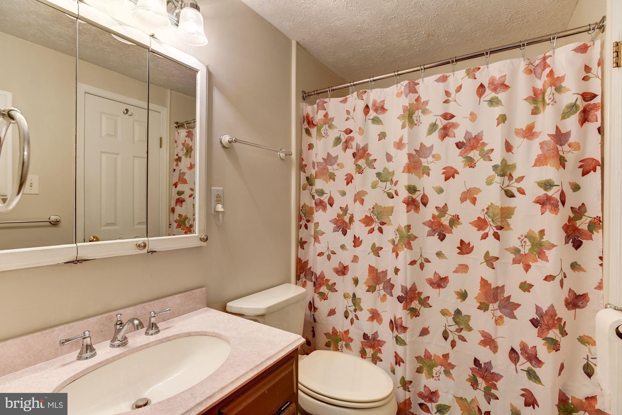 23 Anderson Ridge Road Baltimore, MD 21228 - Photo 14 of 33 Primary Bathroom