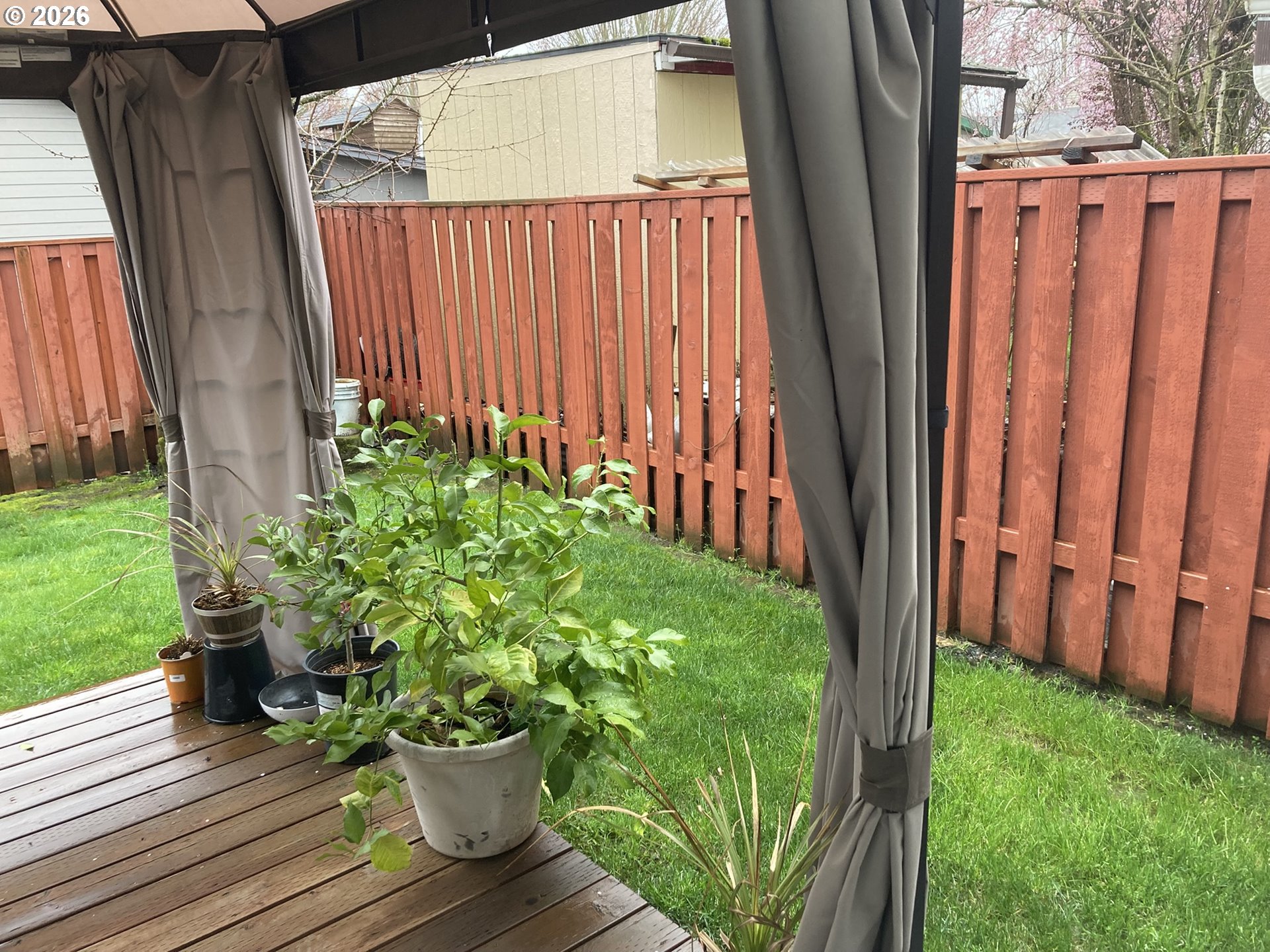 2499 North Holladay Street Cornelius, OR 97113 - Photo 26 of 26 a view of a backyard with plants
